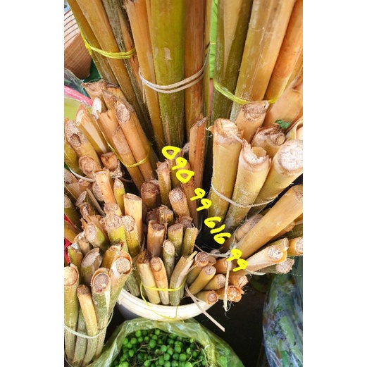 ĐỌT MÂY RỪNG 1 bó 10 cây, đặt bẻ từ 3 bó