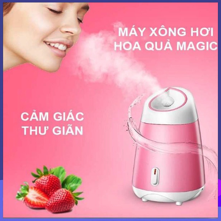 Máy xông mặt hoa quả tươi, máy xông da mặt thảo dược, tinh dầu cao cấp chính hãng