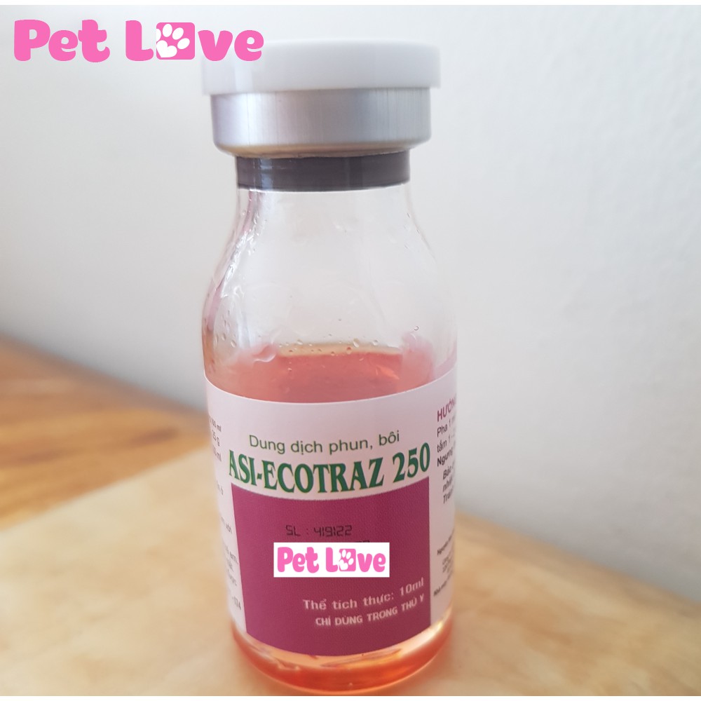 Ecotraz phun xịt ghẻ, ve rận, bọ chét trên chó