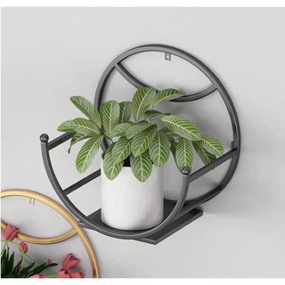 giỏ trồng hoa vầng trăng