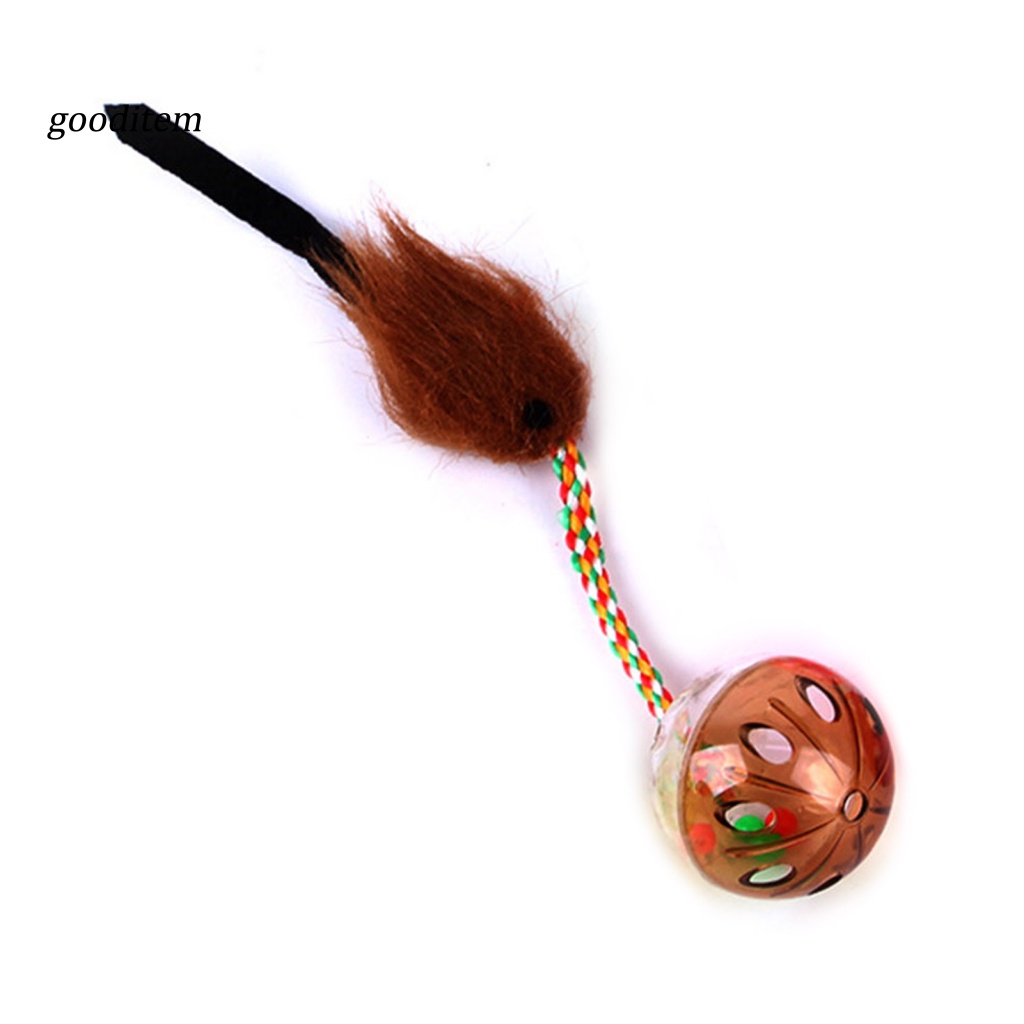 Bóng Đồ Chơi Tương Tác Giải Tỏa Căng Thẳng Cho Mèo