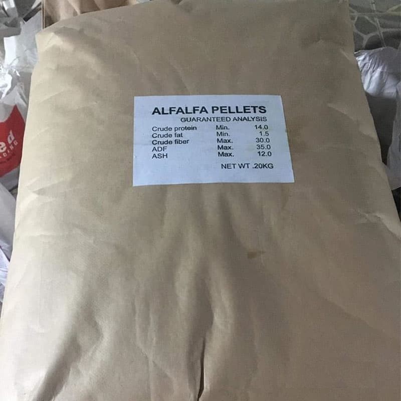 Cỏ Linh Lăng Alfalfa 3ly dành cho gà đá, bọ, thỏ...  - Pet Food Store.