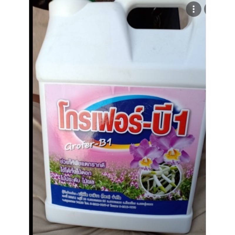 Phân Bón Lá Cao Cấp Vitamin B1 Grofer B1 Can 5000ml Nhập Khẩu Thái Lan (5 lít)