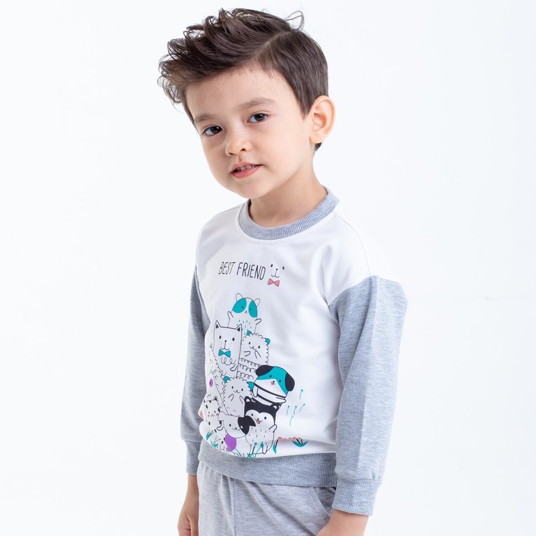 Áo Thun Chất Nỉ Da Cá Cho Bé Trai Bé Gái Từ 1 Đến 8 Tuổi Beddep Kids Clothes UA45