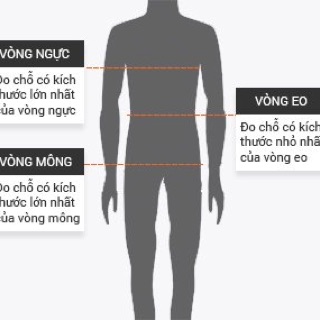 Áo lông vũ Li-ning