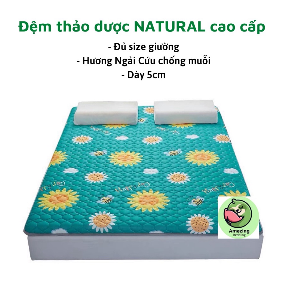 Đệm thảo dược hương Ngải cứu NATURAL nhập khẩu cao cấp Giá rẻ
