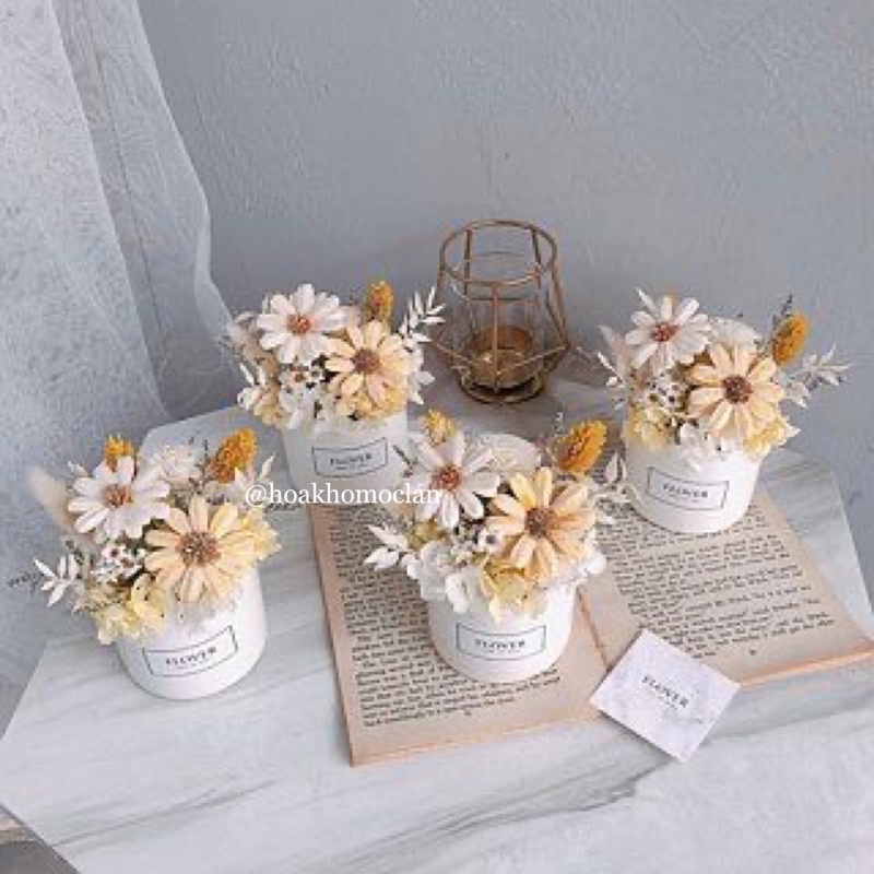 Chậu hoa cúc hướng dương khô