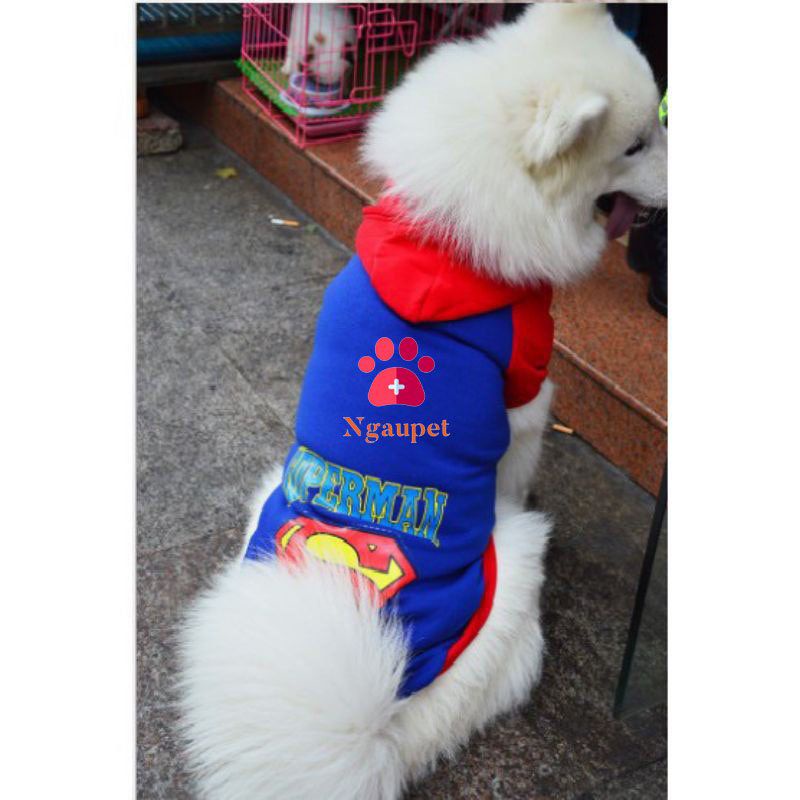 Áo cho chó lớn husky, golden, Alaska, Samoyed - Quần áo cho chó thú cưng in hình Siêu nhân SUPERMAN full size S đến 7XL