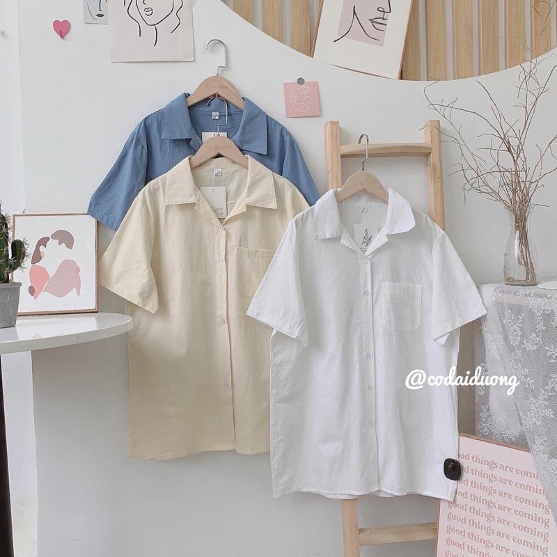 áo sơ mi basic