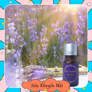TINH DẦU HOA OẢI HƯƠNG LAVENDER KHLOE K 10ml dientu.shop68 lucas.shop1