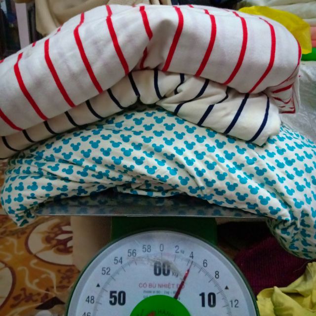 Vải c Trần Bảo Hân