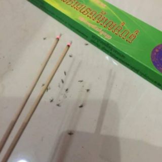 Nhang muỗi Campuchia Chính Hãng