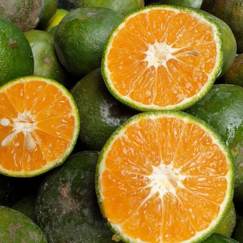Đi chợ cùng Shopee Food: Vitamin D có trong trái cây nào? 3