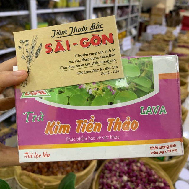 Trà Kim Tiền Thảo Lava