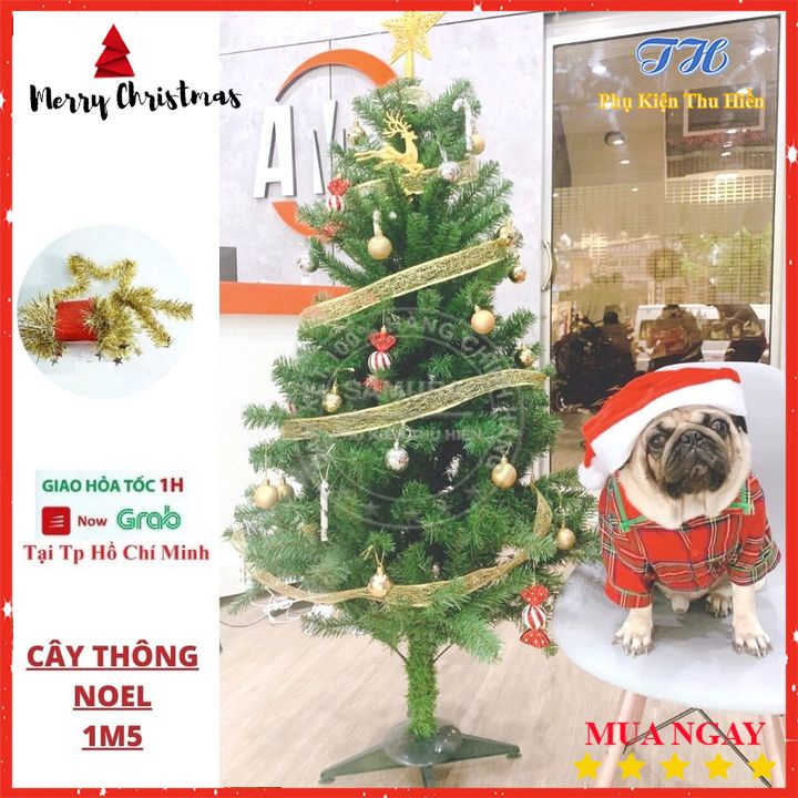 Cây Thông Noel 1M5 Trang Trí Giáng Sinh Cho Nhà Cửa, Phòng Khách, Phòng Ngủ Kèm Dây Kim Tuyến Và Ngôi Sao Đẹp