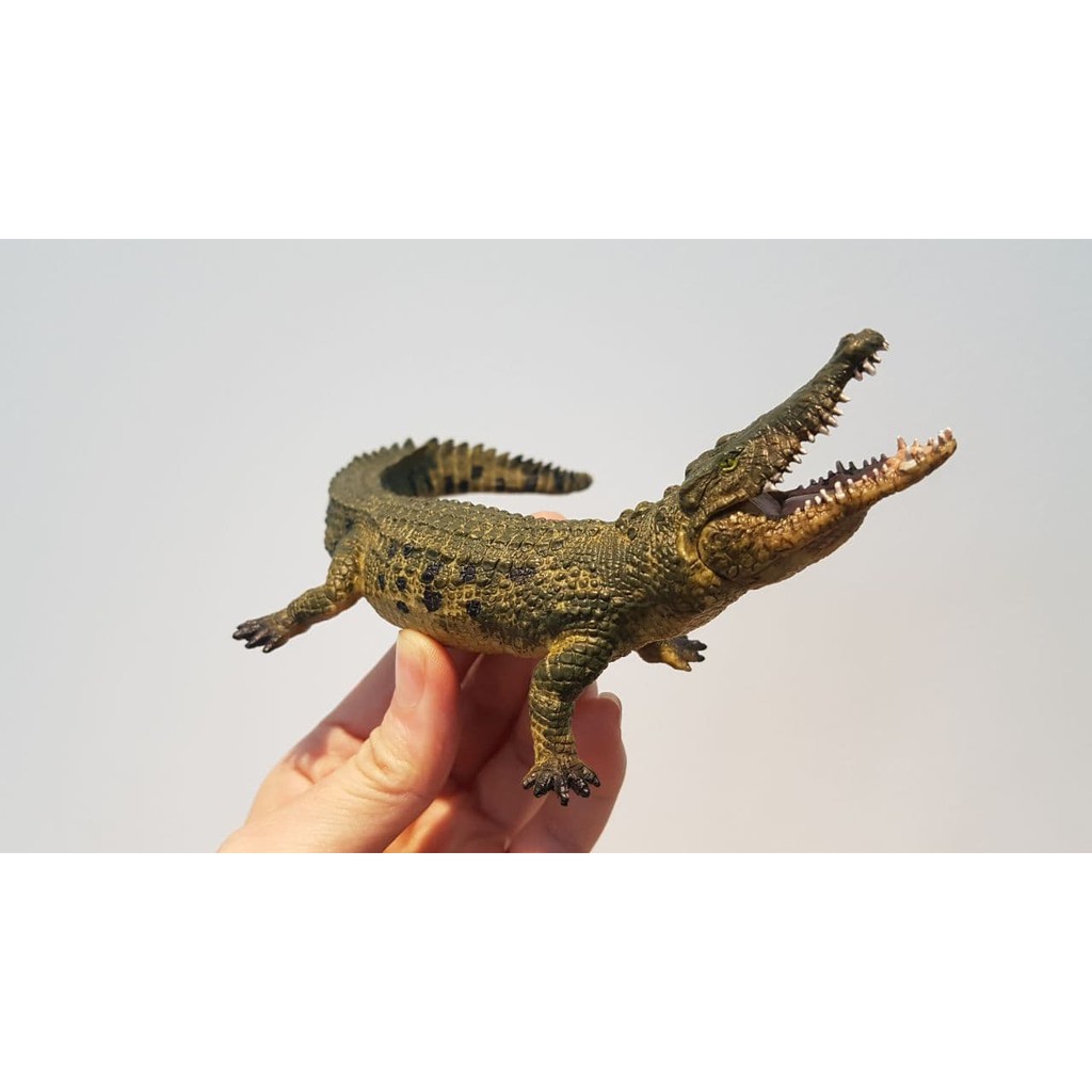 MÔ HÌNH ĐỘNG VẬT - CÁ SẤU MÕM NHỌN