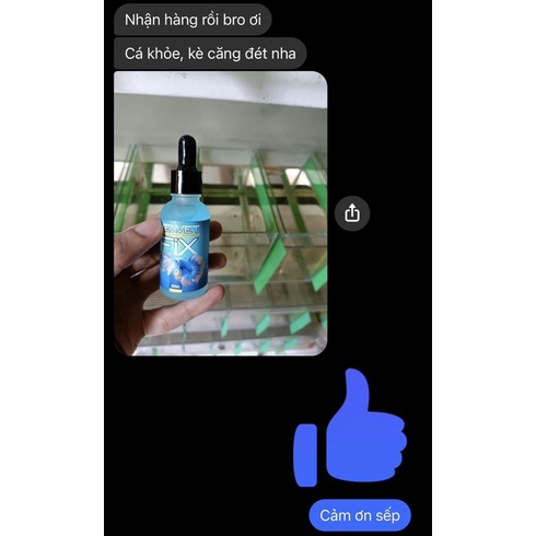 VelvetFix - Fix và phòng Nấm cho betta, guppy