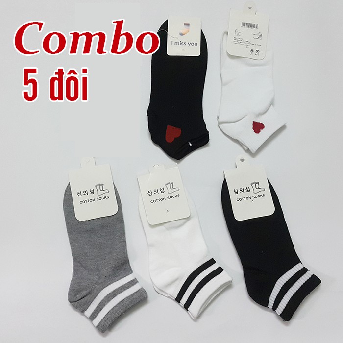 Combo 5 đôi tất Hàn Quốc ngắn cổ