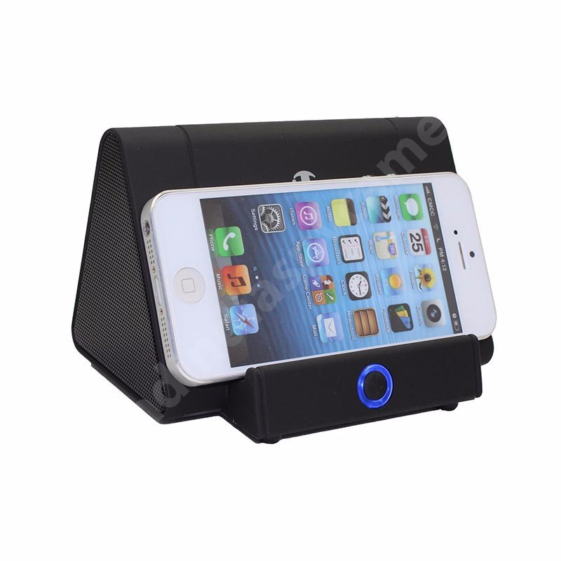 Loa Khuếch đại 318 ( loa ma thuật )