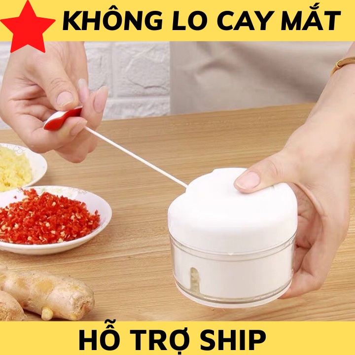 May xay mini cầm tay sử dụng cho tỏi ớt hành rau củ thịt nhỏ đa năng hiệu quả