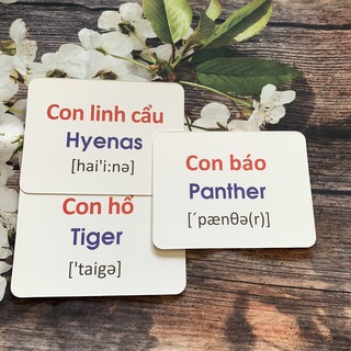 Flashcard Glenn Doman - Động Vật Hoang Dã
