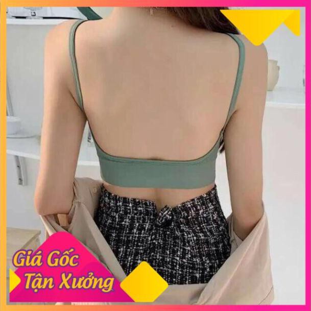 Áo Bra Cotton Khoét Lưng Đa Năng Mẫu Mới Hàng Xuất Nhật 367