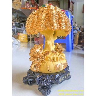 Cây Kim Tiền Bằng Đá