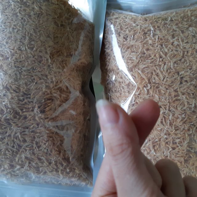 Moi biển khô