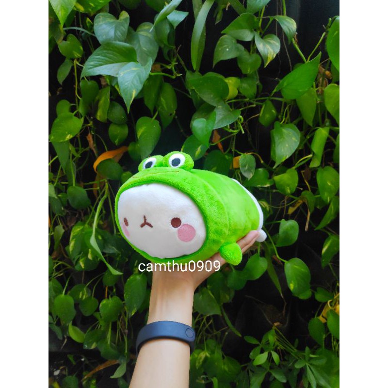 Gấu bông molang,thỏ bông molang đáng yêu nhiều mẫu