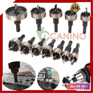 Mũi Khoan 💖FREESHIP💖 Bộ 5 Mũi Khoan Khoét Lỗ Hợp Kim HSS Cao Cấp C1