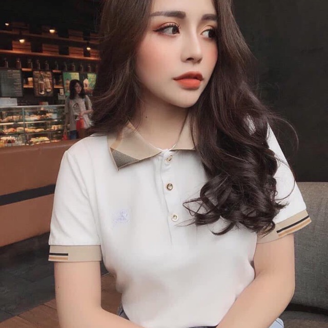 Áo Polo cổ BBr