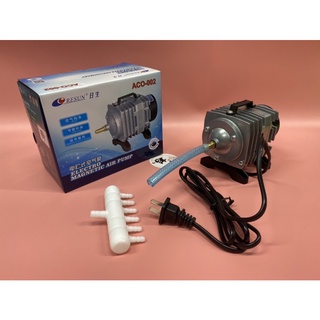 Máy sục sủi thổi khí oxy hồ cá cảnh resun aco-002 - máy oxy bể cá 25w