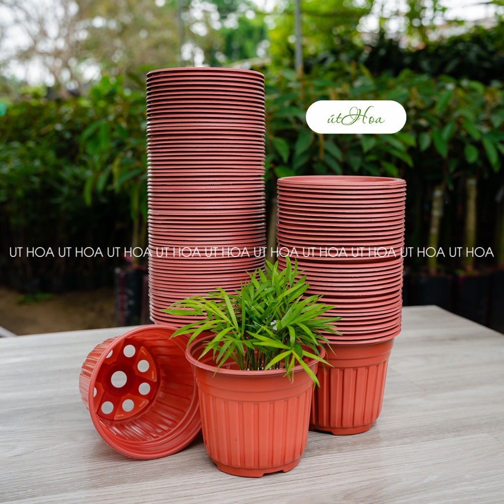100 cái chậu nhựa nâu N15  trồng cây, trồng hoa
