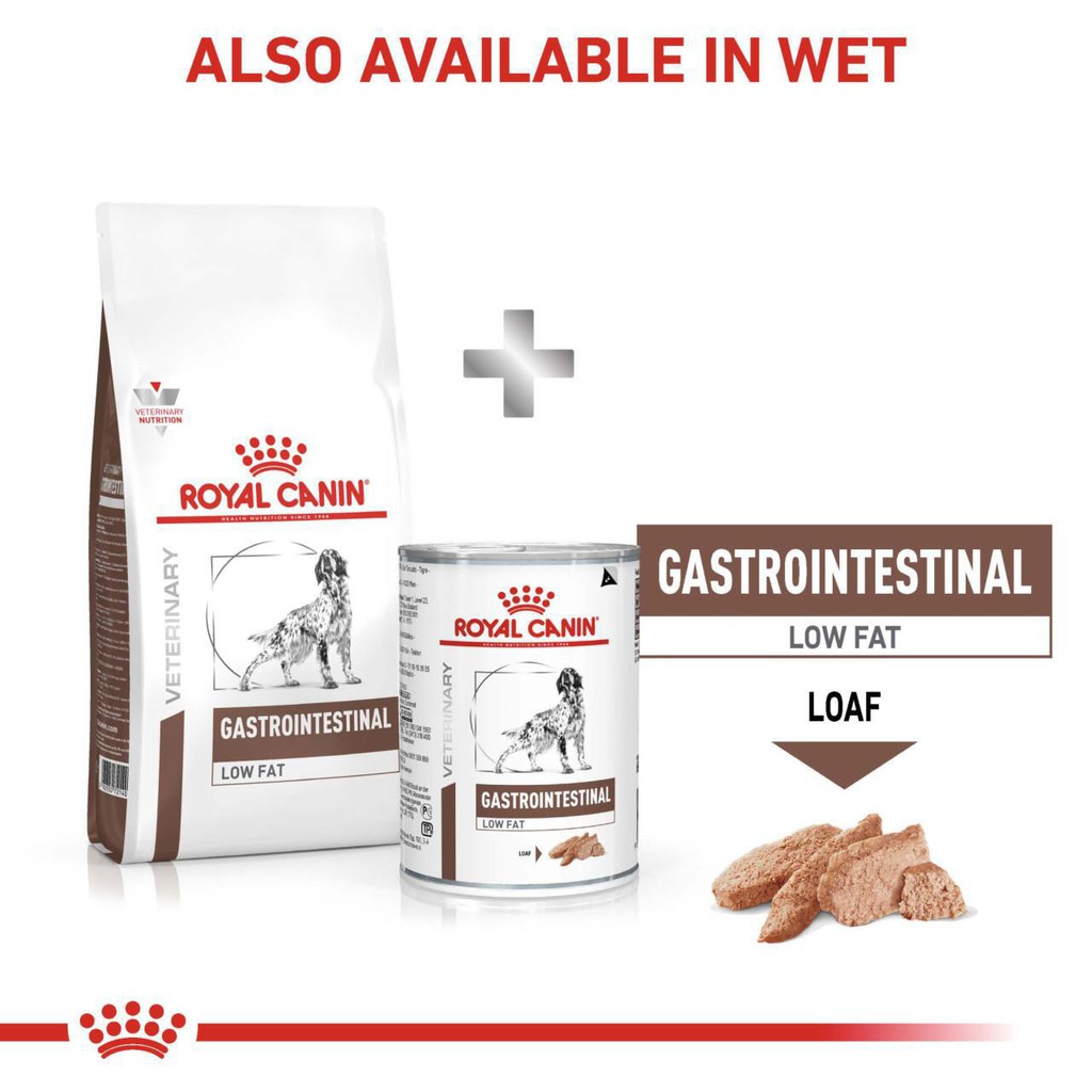 Hạt cho chó tiêu chảy, khó tiêu. Hạt Canin cho chó gặp vấn đề về tiêu hóa Royal Canin Vet Diet Gastrointestinal 2kg