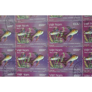 Tem sưu tập Tem CTO Cá Killi Việt Nam tờ 25 tem