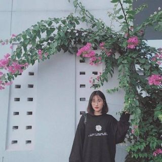 Áo sweater thêu hoa cúc