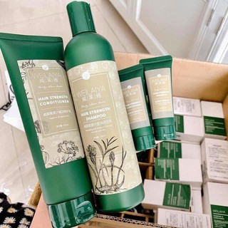 Dầu gội xả Gừng - Gừng Hà Thủ Ô Weilaiya ngăn rụng, giúp mọc tóc [Chính hãng]
