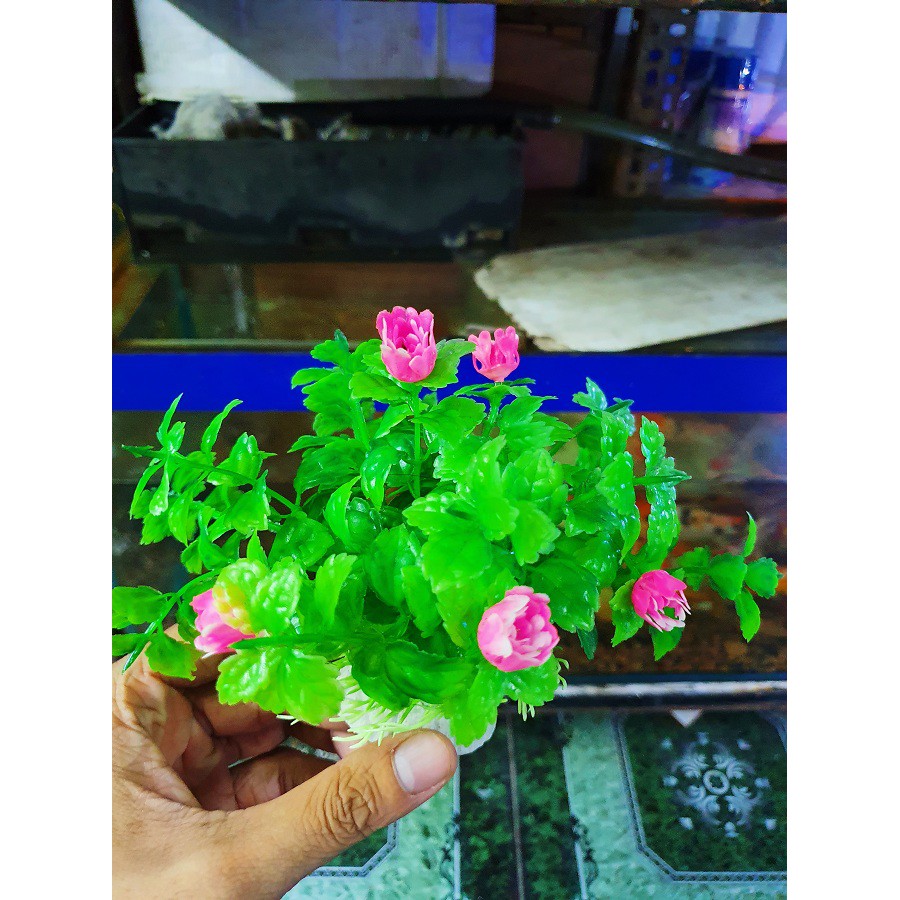 RONG GIẢ ĐẾ TRÒN TRANG TRÍ HỒ CÁ NON BỘ CAO 10CM