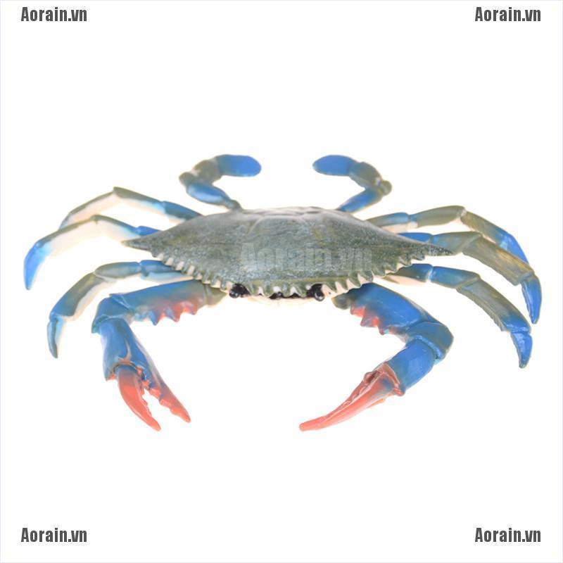 Mô Hình Đồ Chơi Cua Biển Độc Đáo