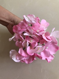 Chùm hoa Tú cầu