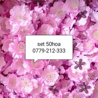 Hoa đào tết gắn rời lên cành cây khô