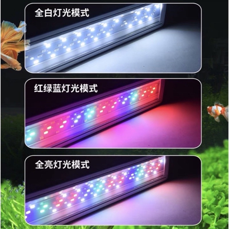Đèn Led máng XML cho hồ cá -3 chế độ màu