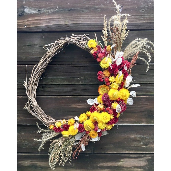 Sỉ cúc Bất tử khô, mix màu