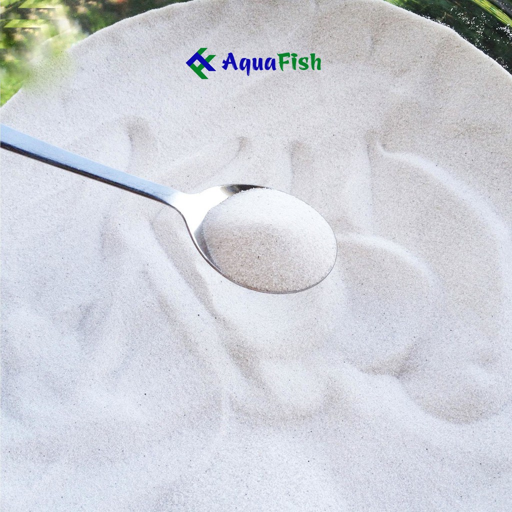 Cát Trắng Trang Trí Bể Cá Cảnh 1kg (cát trắng, đều và mịn)
