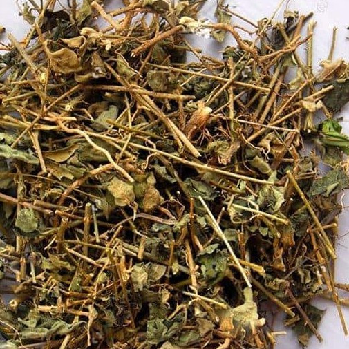 Cà gai leo khô thượng hạng JINDO 1kg giúp mát gan