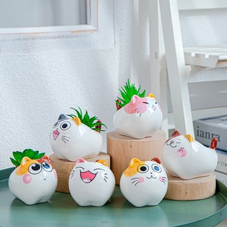 Chậu thú cute, trồng cây để bàn, chậu dễ thương nhiều hình ngộ nghĩnh