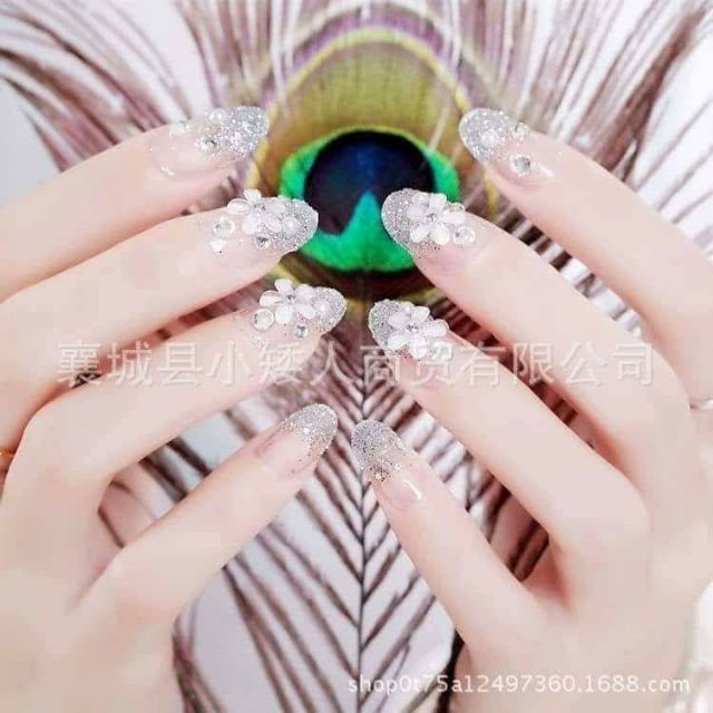 Móng giả ( mai huệ trần)