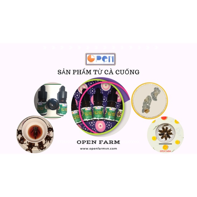 Nước Mắm Cà Cuống Tinh Dầu