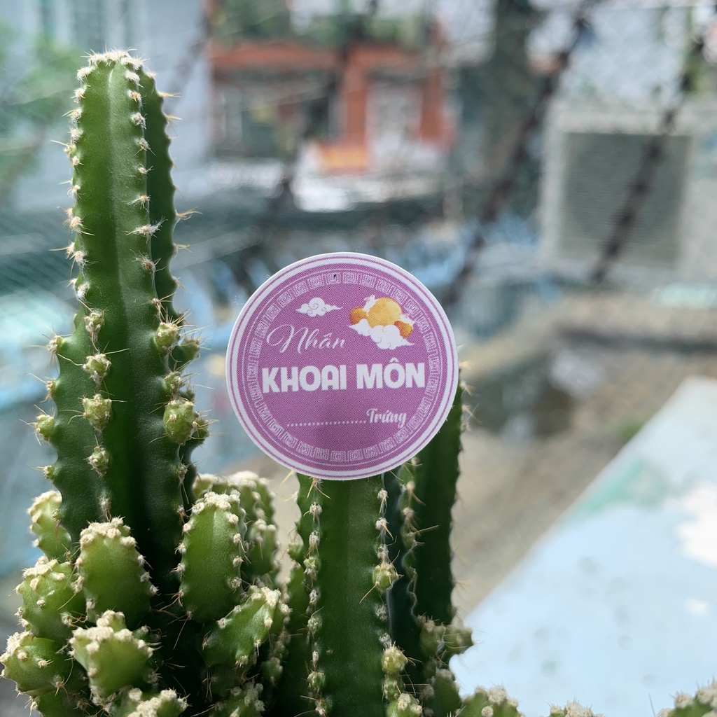 500 Tem Nhân Bánh Trung Thu 2.6 cm - Mẫu mới 2022