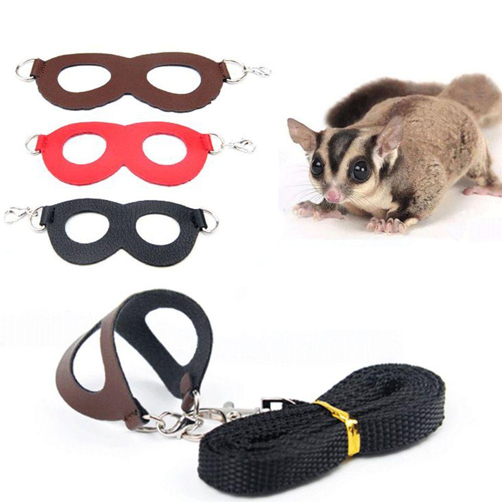 Dây Dắt Thú Cưng Đi Dạo 3 Kích Cỡ Tùy Chỉnh Chống Thắt Nút Tiện Dụng